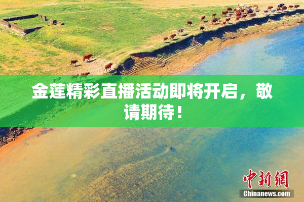 金莲精彩直播活动即将开启，敬请期待！