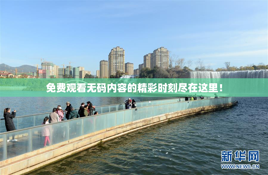 免费观看无码内容的精彩时刻尽在这里！