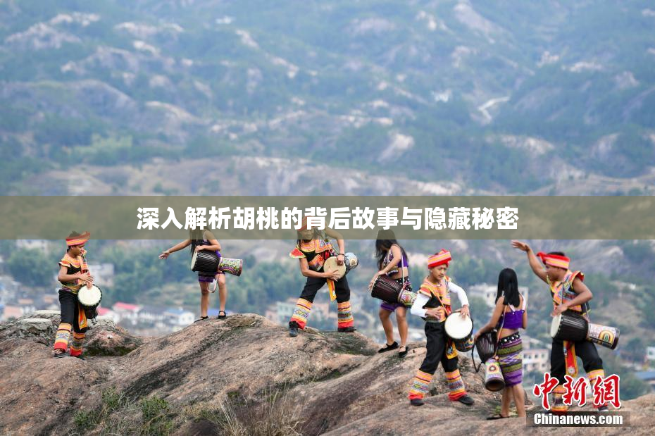 深入解析胡桃的背后故事与隐藏秘密