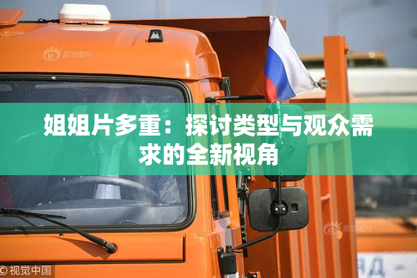姐姐片多重：探讨类型与观众需求的全新视角