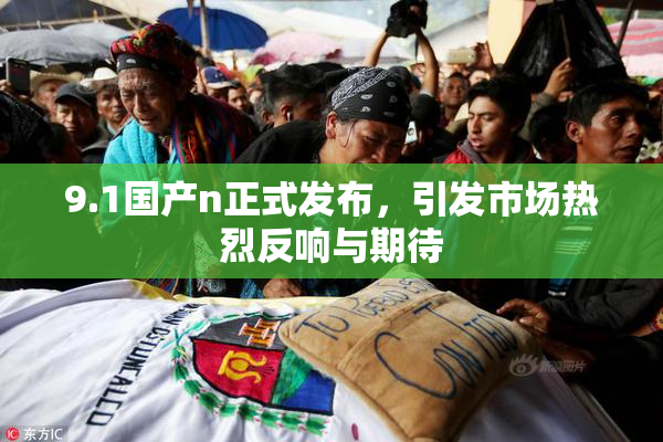 9.1国产n正式发布，引发市场热烈反响与期待