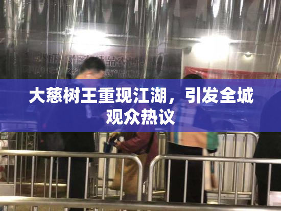 大慈树王重现江湖，引发全城观众热议