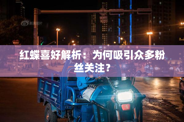 红蝶喜好解析：为何吸引众多粉丝关注？