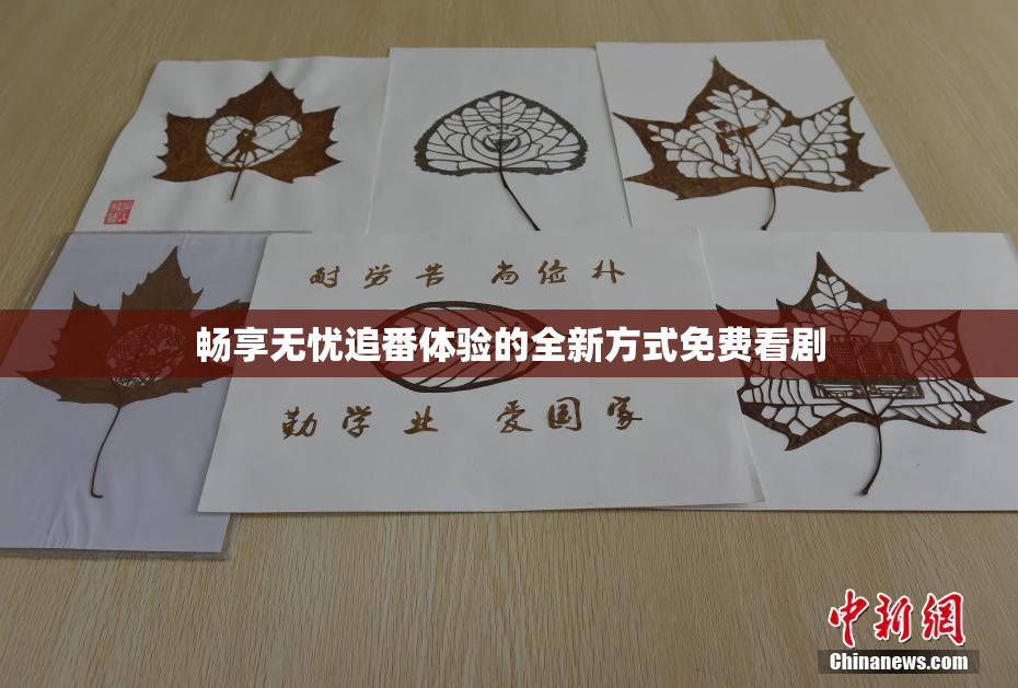 畅享无忧追番体验的全新方式免费看剧