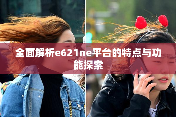 全面解析e621ne平台的特点与功能探索