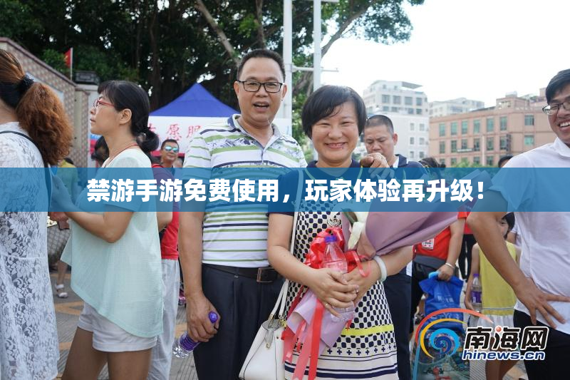 禁游手游免费使用，玩家体验再升级！