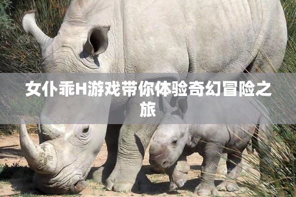 女仆乖H游戏带你体验奇幻冒险之旅