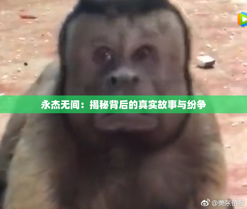 永杰无间：揭秘背后的真实故事与纷争