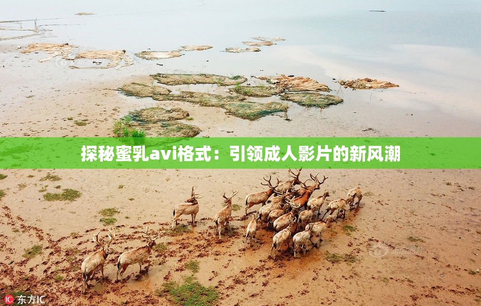 探秘蜜乳avi格式：引领成人影片的新风潮