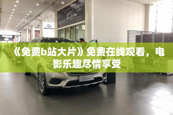 《免费b站大片》免费在线观看，电影乐趣尽情享受