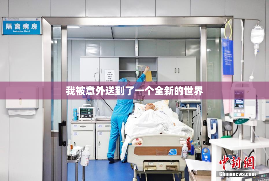 我被意外送到了一个全新的世界