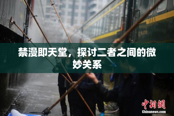 禁漫即天堂，探讨二者之间的微妙关系