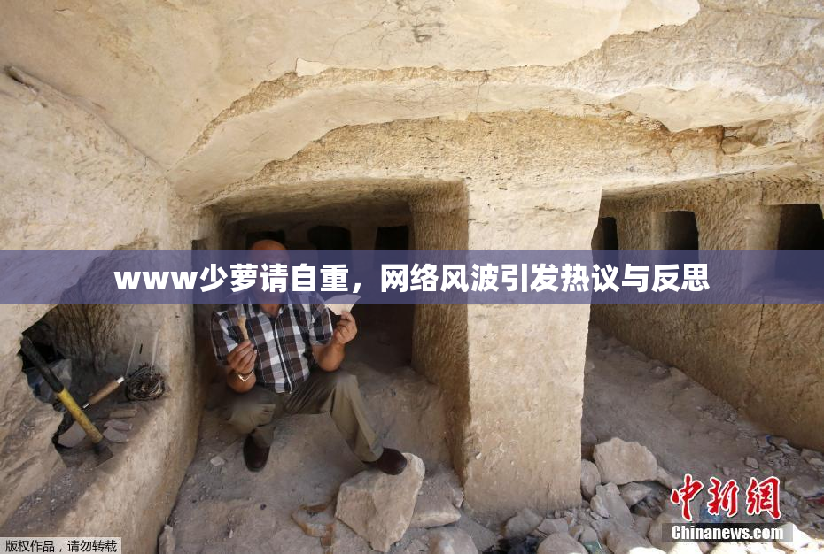 www少萝请自重，网络风波引发热议与反思