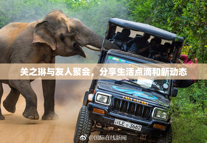 关之琳与友人聚会，分享生活点滴和新动态
