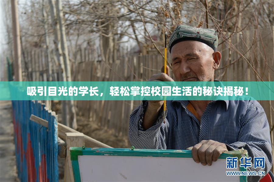 吸引目光的学长，轻松掌控校园生活的秘诀揭秘！