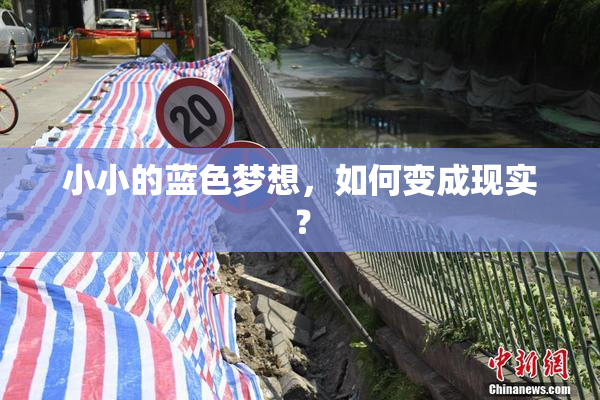 小小的蓝色梦想，如何变成现实？