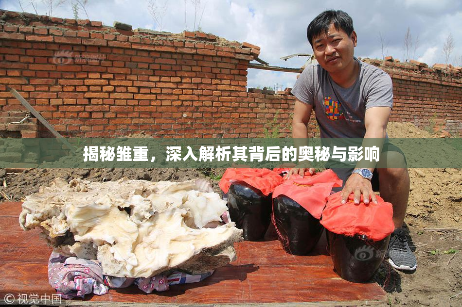揭秘雏重，深入解析其背后的奥秘与影响