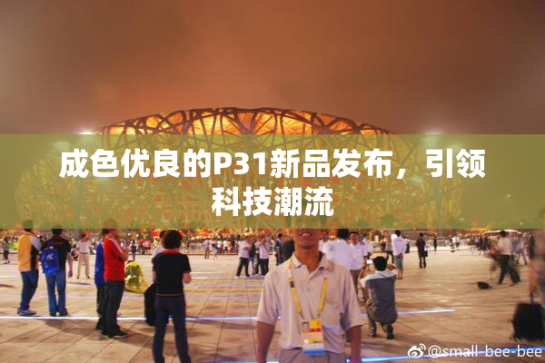成色优良的P31新品发布，引领科技潮流