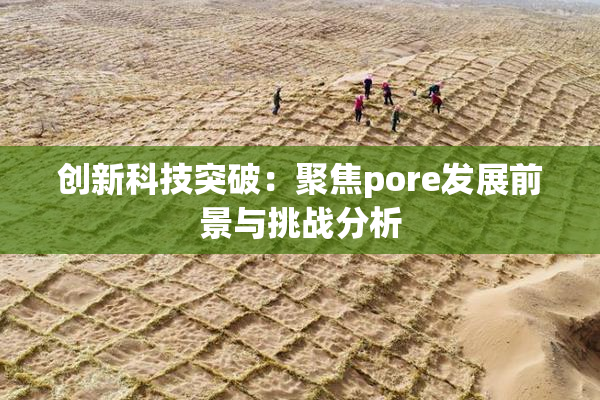 创新科技突破：聚焦pore发展前景与挑战分析