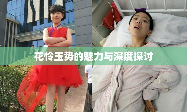 花怜玉势的魅力与深度探讨