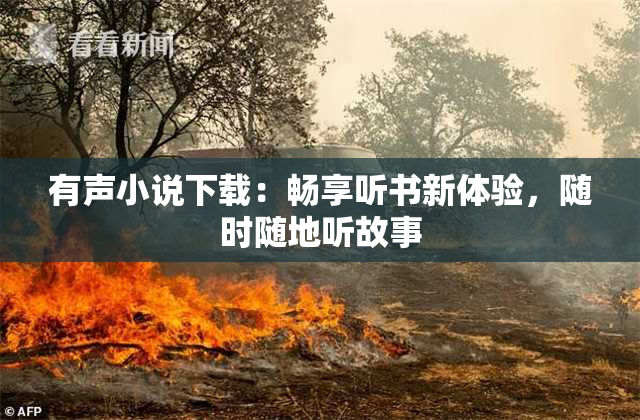 有声小说下载：畅享听书新体验，随时随地听故事
