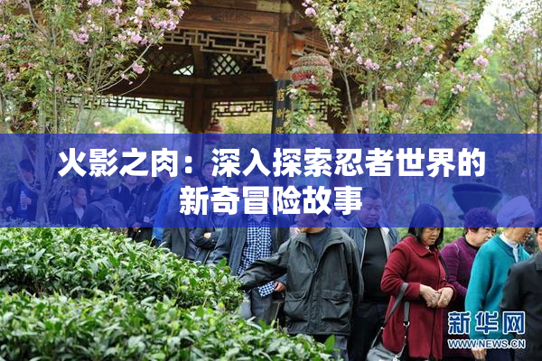 火影之肉：深入探索忍者世界的新奇冒险故事
