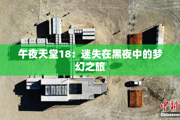 午夜天堂18：迷失在黑夜中的梦幻之旅
