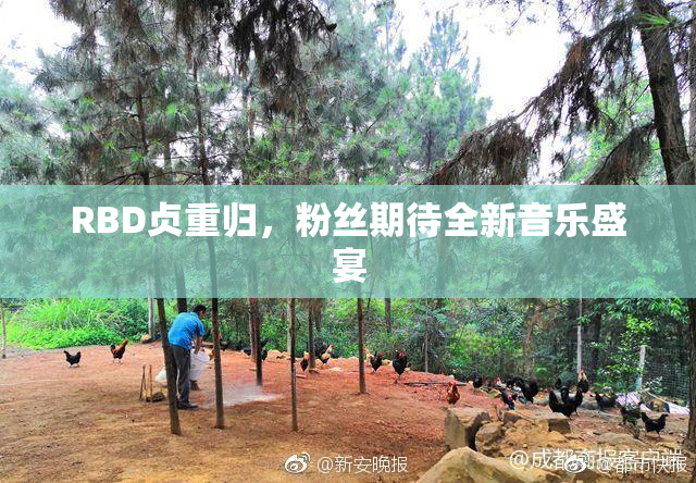 RBD贞重归，粉丝期待全新音乐盛宴