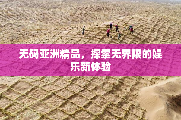 无码亚洲精品，探索无界限的娱乐新体验