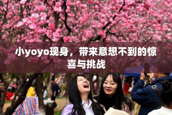 小yoyo现身，带来意想不到的惊喜与挑战