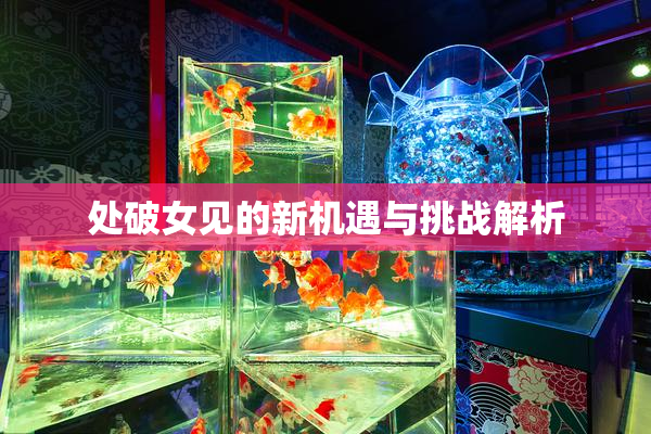 处破女见的新机遇与挑战解析