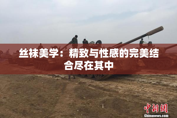 丝袜美学：精致与性感的完美结合尽在其中