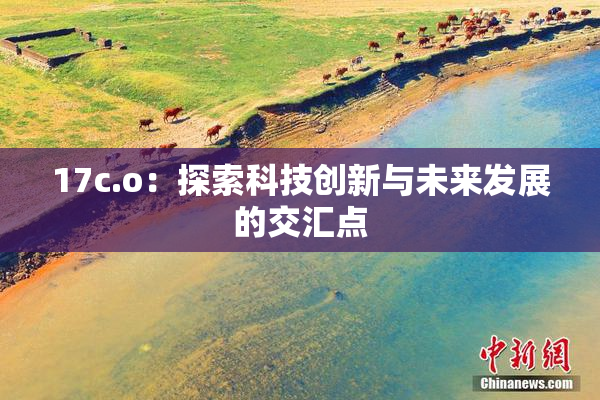 17c.o：探索科技创新与未来发展的交汇点