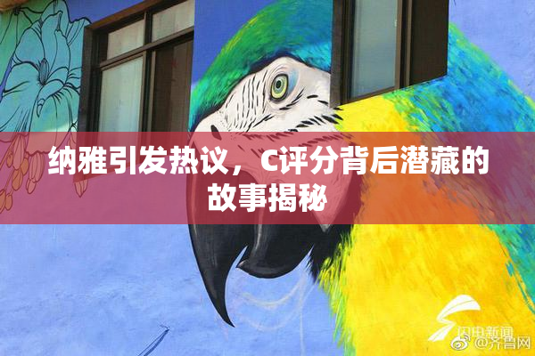 纳雅引发热议，C评分背后潜藏的故事揭秘