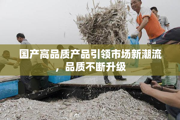 国产高品质产品引领市场新潮流，品质不断升级
