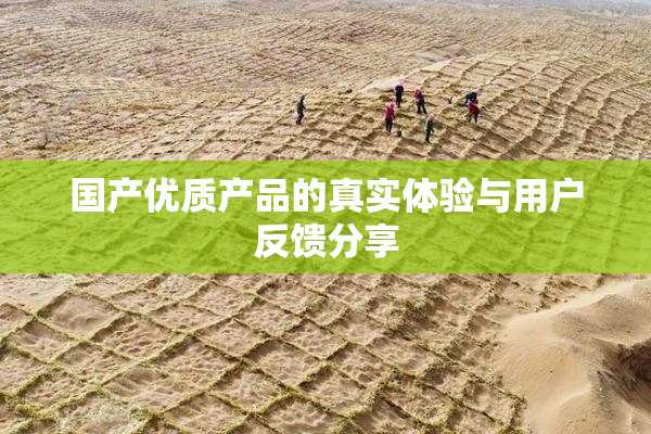 国产优质产品的真实体验与用户反馈分享