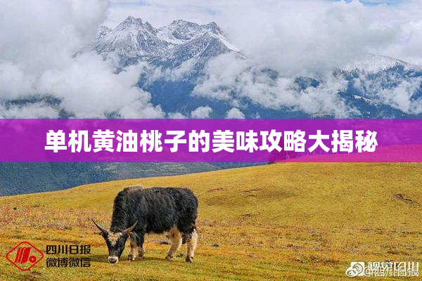 单机黄油桃子的美味攻略大揭秘