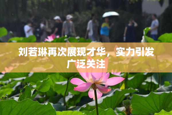 刘若琳再次展现才华，实力引发广泛关注