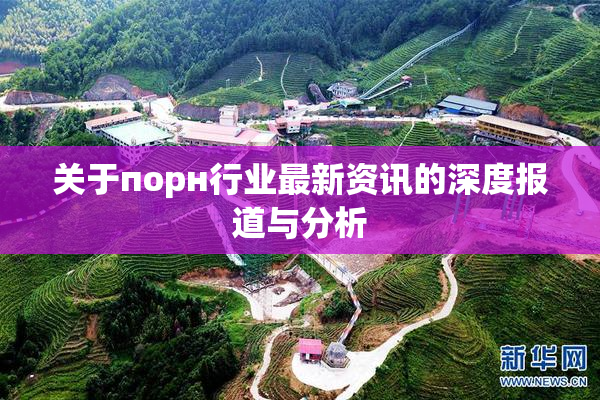 关于порн行业最新资讯的深度报道与分析