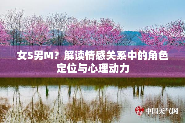 女S男M？解读情感关系中的角色定位与心理动力