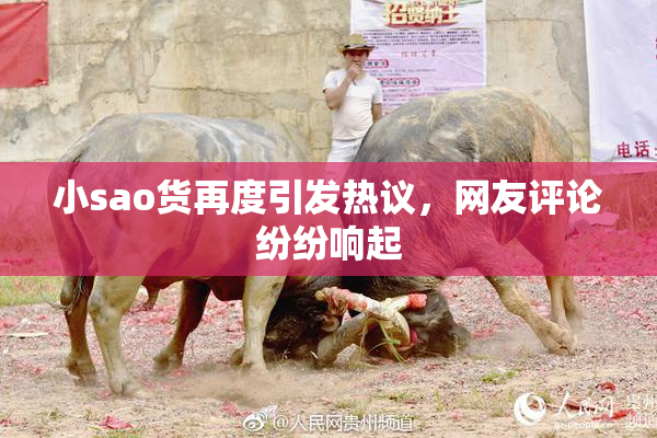小sao货再度引发热议，网友评论纷纷响起