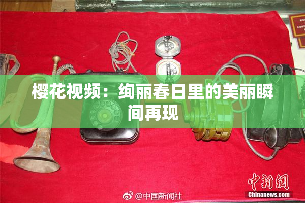樱花视频：绚丽春日里的美丽瞬间再现