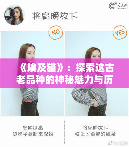 《埃及猫》：探索这古老品种的神秘魅力与历史渊源