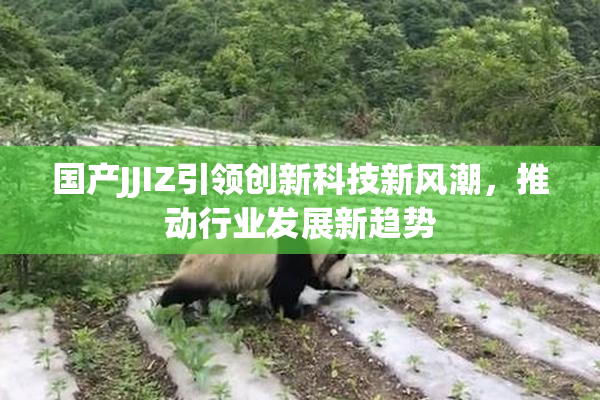 国产JJIZ引领创新科技新风潮，推动行业发展新趋势