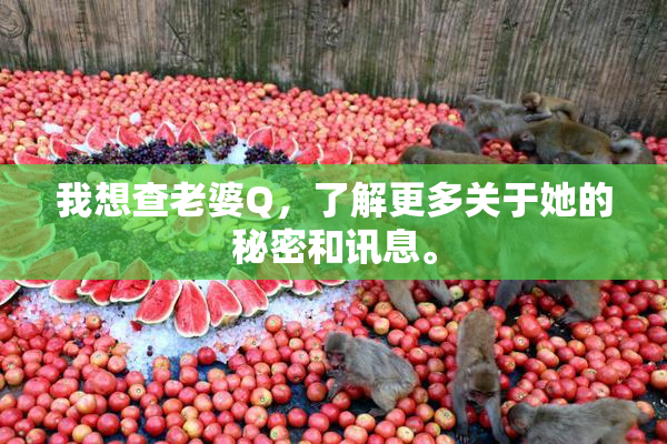 我想查老婆Q，了解更多关于她的秘密和讯息。