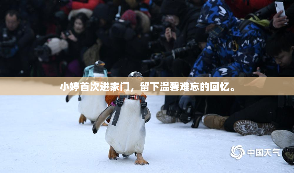 小婷首次进家门，留下温馨难忘的回忆。