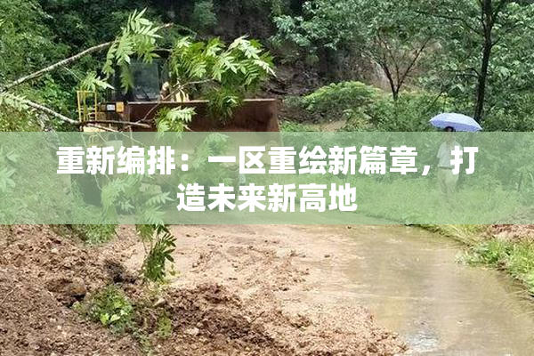 重新编排：一区重绘新篇章，打造未来新高地
