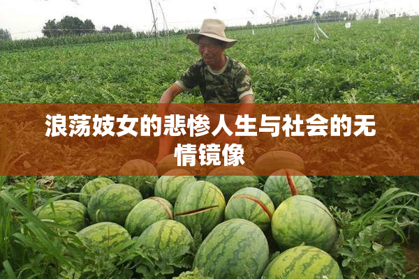 浪荡妓女的悲惨人生与社会的无情镜像