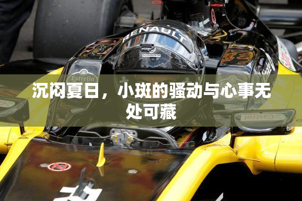 沉闷夏日，小斑的骚动与心事无处可藏