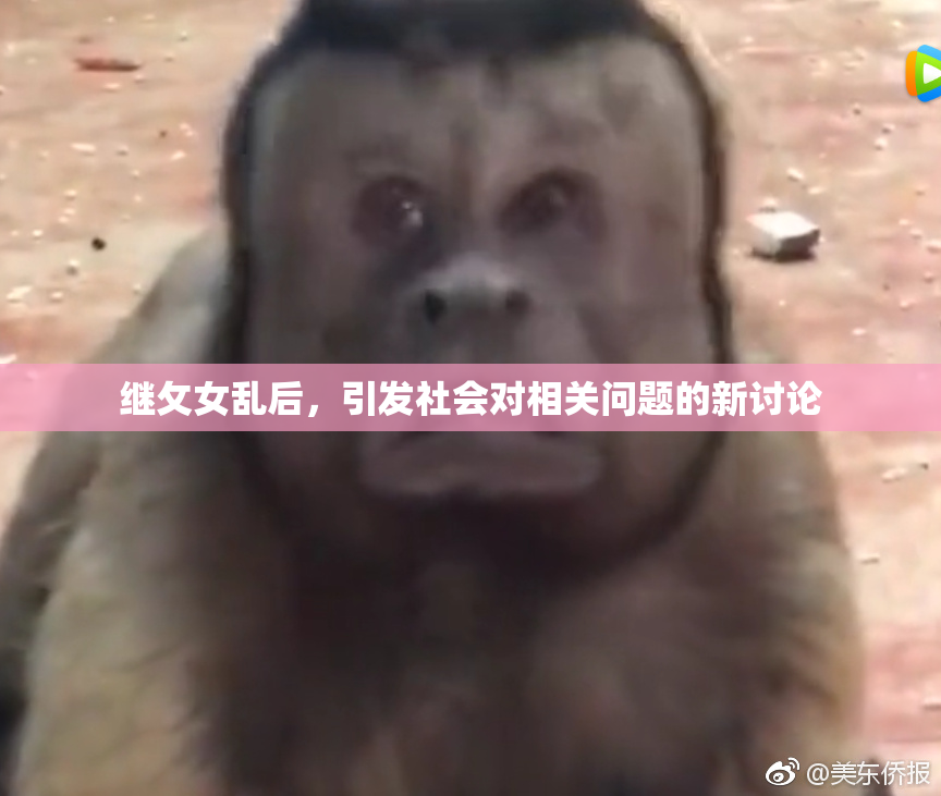 继攵女乱后，引发社会对相关问题的新讨论
